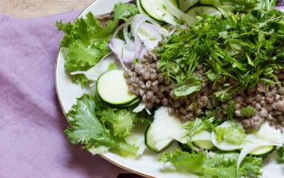 Linsensalat mit Fenchel und Zucchini oder Rezepte aus dem Saisongarten Teil 1