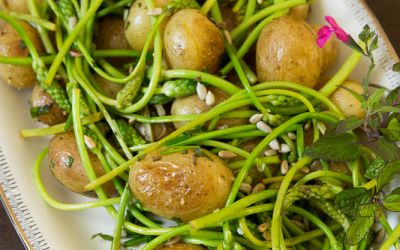 Wildspargel-Kartoffel-Salat oder Gelegenheiten nutzen, wenn sie sich bieten