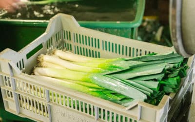 Besuch auf dem Herrnbühler Hof für die Regionalmarke von EDEKA „Unsere Heimat – Echt & Gut“