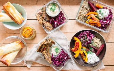 Meal Prep vegetarisch – mit Frühlingsrollen aus dem Backofen, Rotkohl-Bowl und Quinoa-Bratlingen